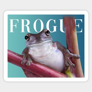 Frogue Magazine Frog Meme Sticker